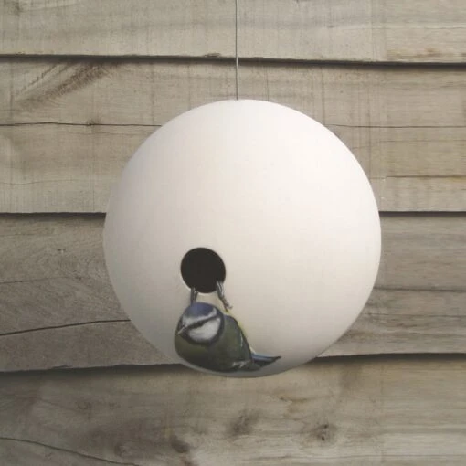 Birdball By Green And Blue - Image 2