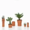 Vitra Terracotta Pots By Thélonious Goupil -Home Furnishing Shop 7012385 TerracottaPot Group master