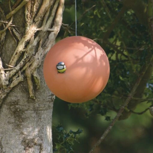 Birdball By Green And Blue - Image 4