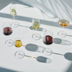 Iittala Essence Champagne Glasses By Alfredo Haberli -Home Furnishing Shop IittalaEssenceFamily