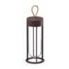 In Vitro Unplugged Lamp By Philippe Starck For Flos -Home Furnishing Shop InVitroUnpluggedBrown