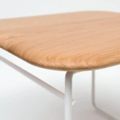Wire Table By Pastoe -Home Furnishing Shop Kopie van wire bijzettafeltje detail dsc0822