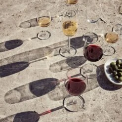 Raami Sparkling Wine Glass By Iittala -Home Furnishing Shop RaamiWineglassFamilyLifestyle 14d81991 1275 4f0e 850a dfc1c3eb98f5