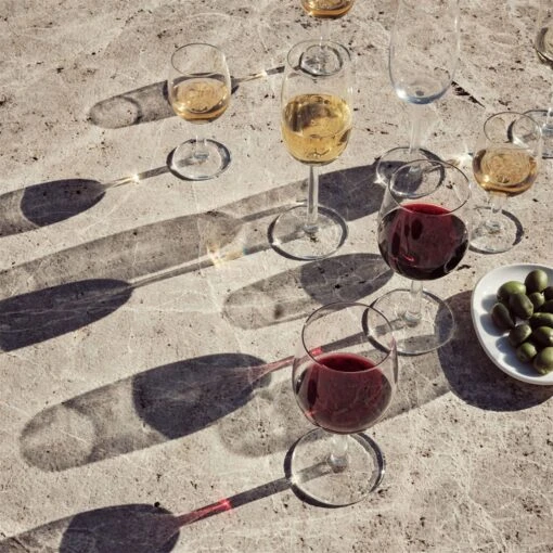 Raami Sparkling Wine Glass By Iittala - Image 3