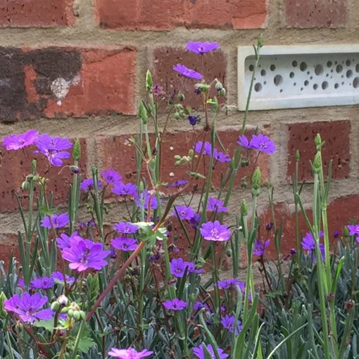 Bee Brick By Green And Blue - Image 2