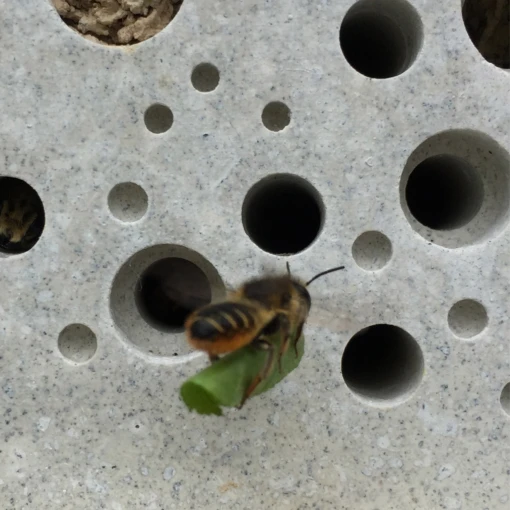 Bee Brick By Green And Blue - Image 3